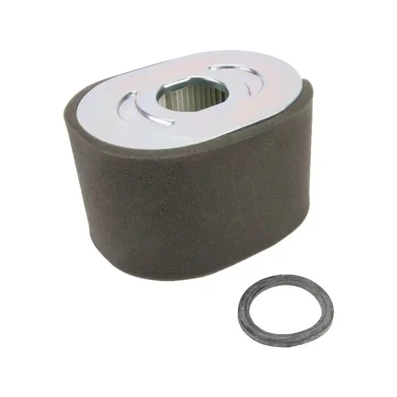Populaire Filtre à air Briggs et Stratton – 799818