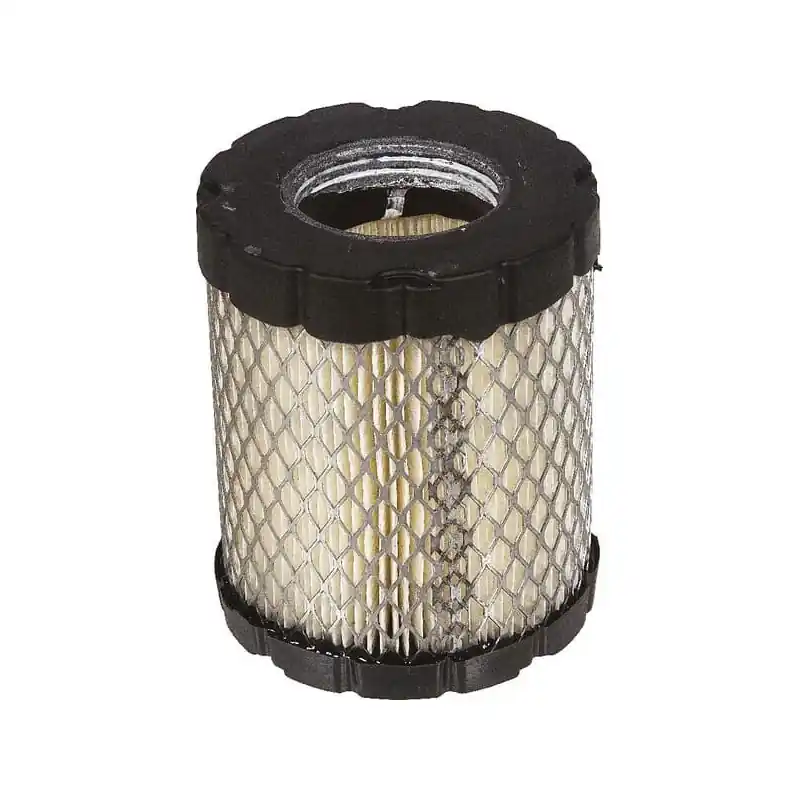 Filtre à air Briggs et Stratton – 798897 Affaire À Saisir