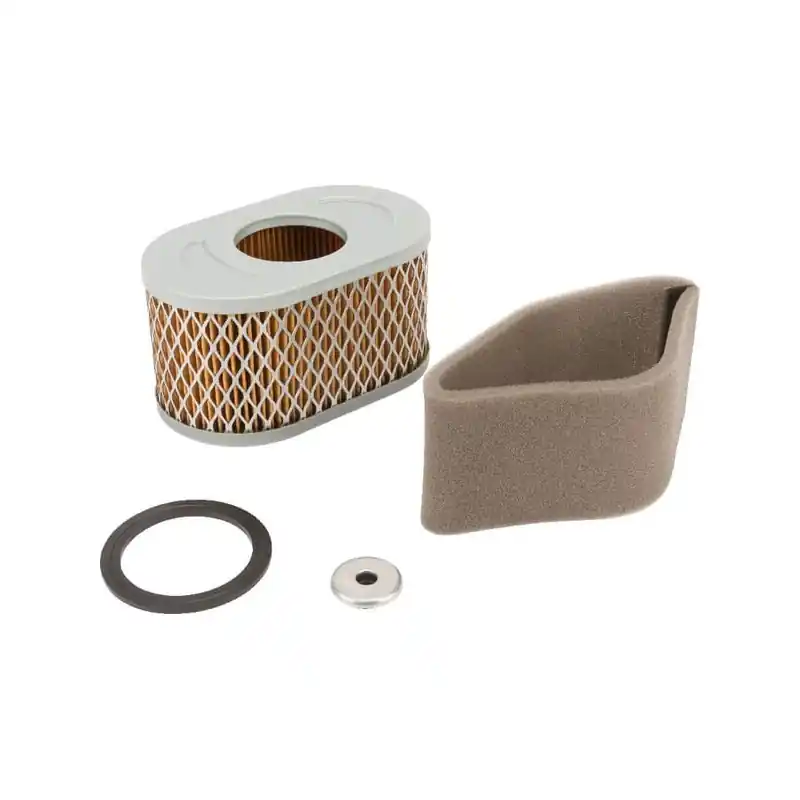 Filtre à air Briggs et Stratton – 797033 Offre Exclusive