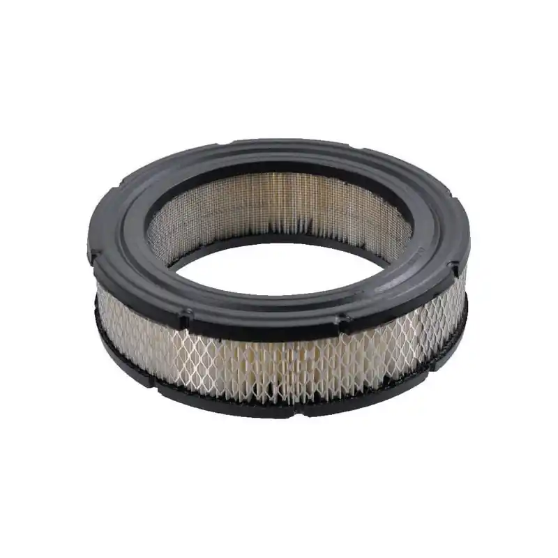 Filtre à air Briggs et Stratton – 4232 Produit De Marque