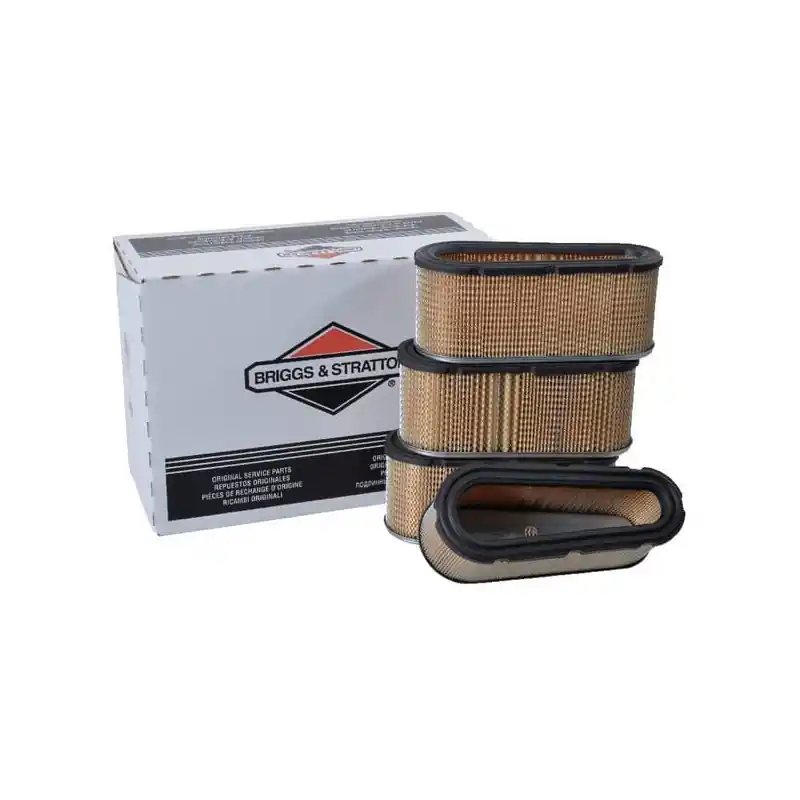 Filtre à air Briggs et Stratton – 4139 Certifié