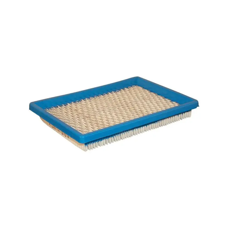Pas Cher Filtre à air Briggs et Stratton – 397795S