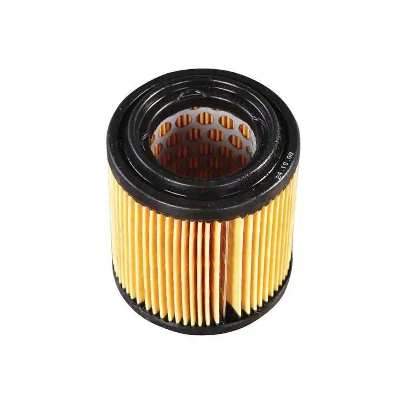 Petit Prix Épurateur d‘air Briggs et Stratton – 591034