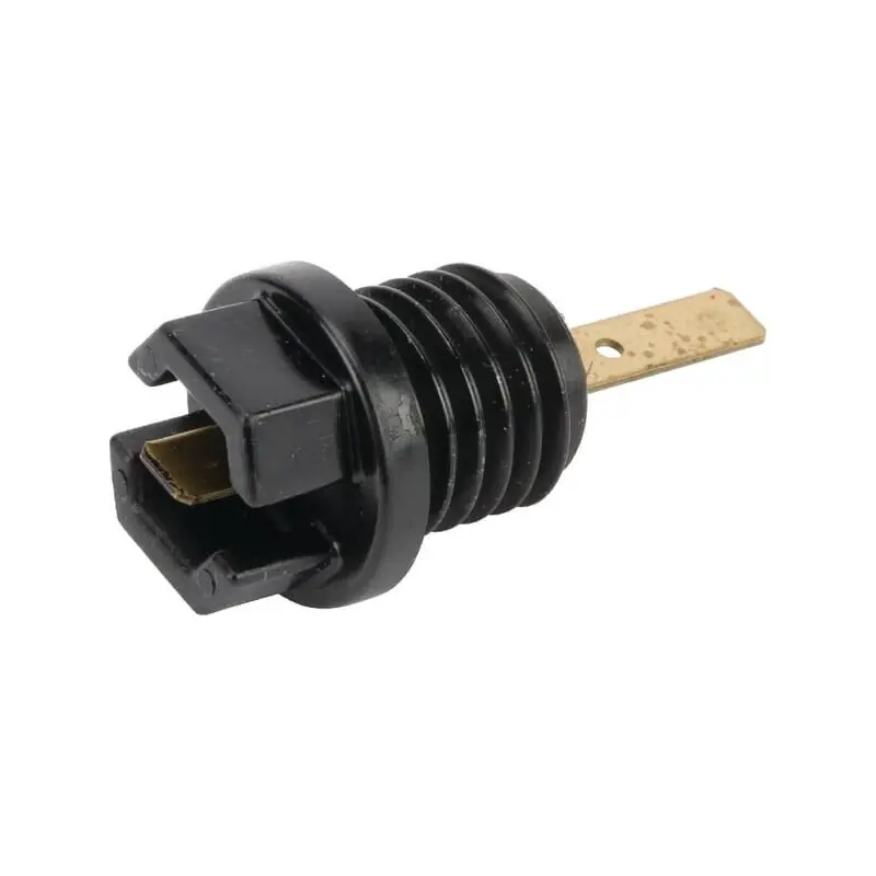Bouchon d‘huile Briggs et Stratton – 699947 Meilleure Vente