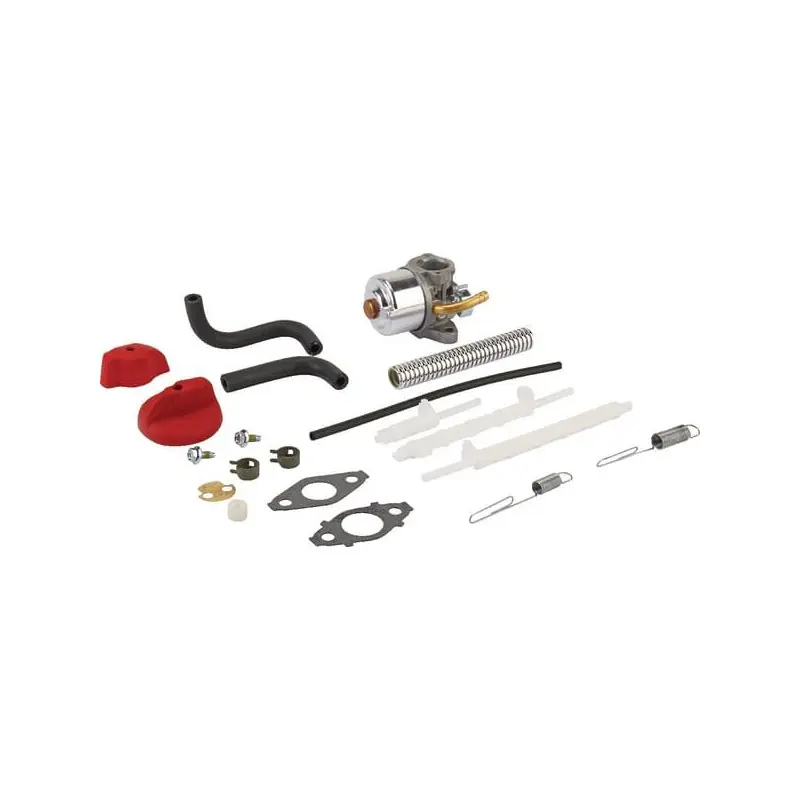 Carburateur Briggs et Stratton – 798917 Prix Réduit