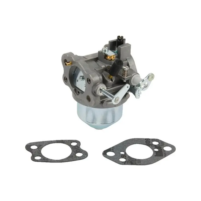 Prix Réduit Carburateur Briggs et Stratton – 847049