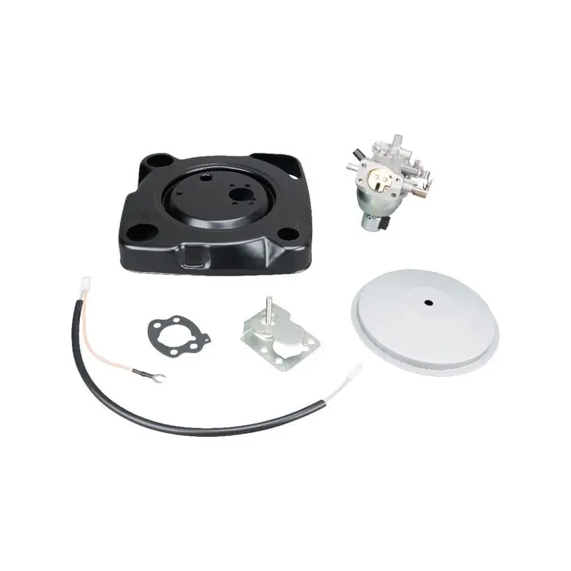 Prix Promo Carburateur Briggs et Stratton – 846944