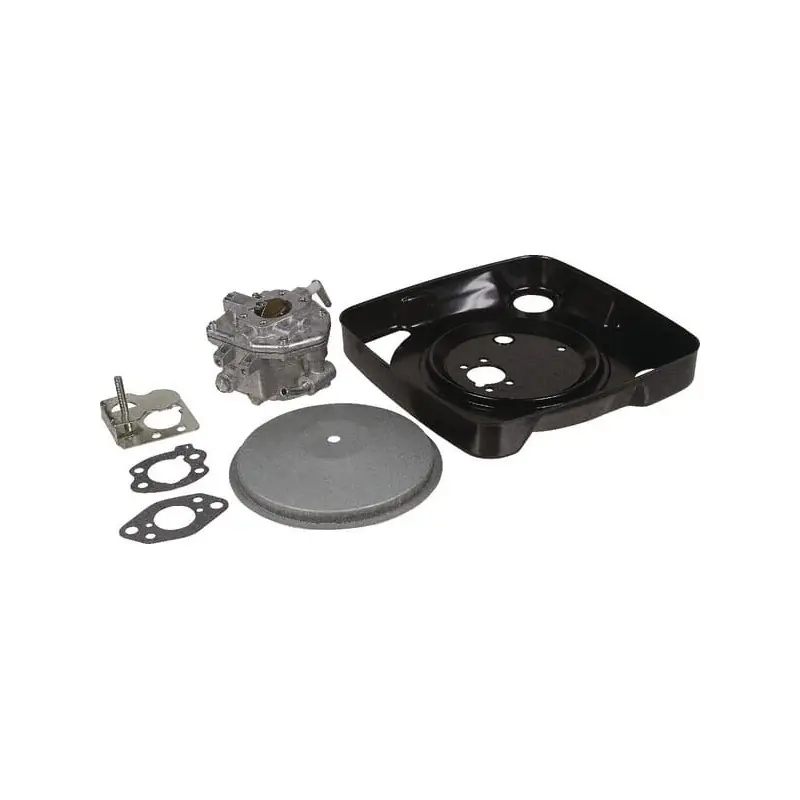 Carburateur Briggs et Stratton – 846109 Commander Vite