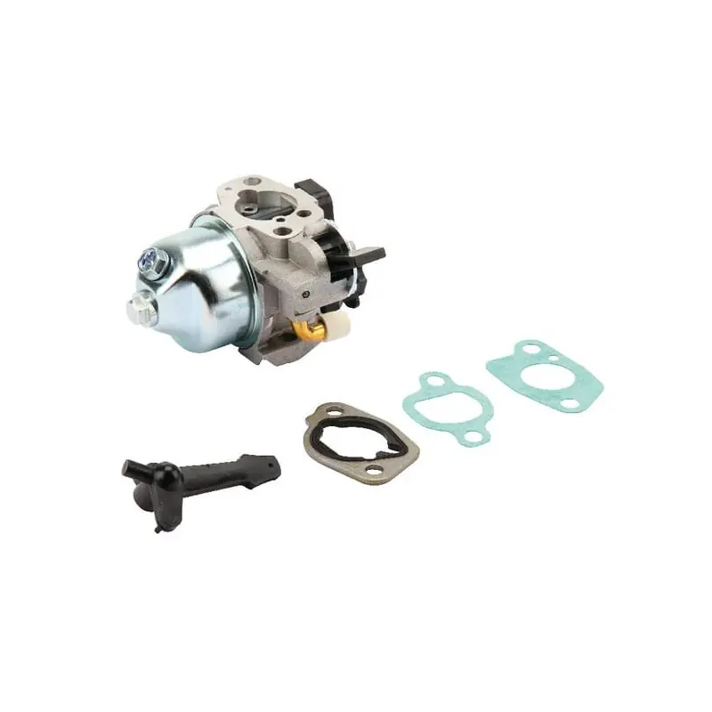 Carburateur Briggs et Stratton – 797283 Prix Choc