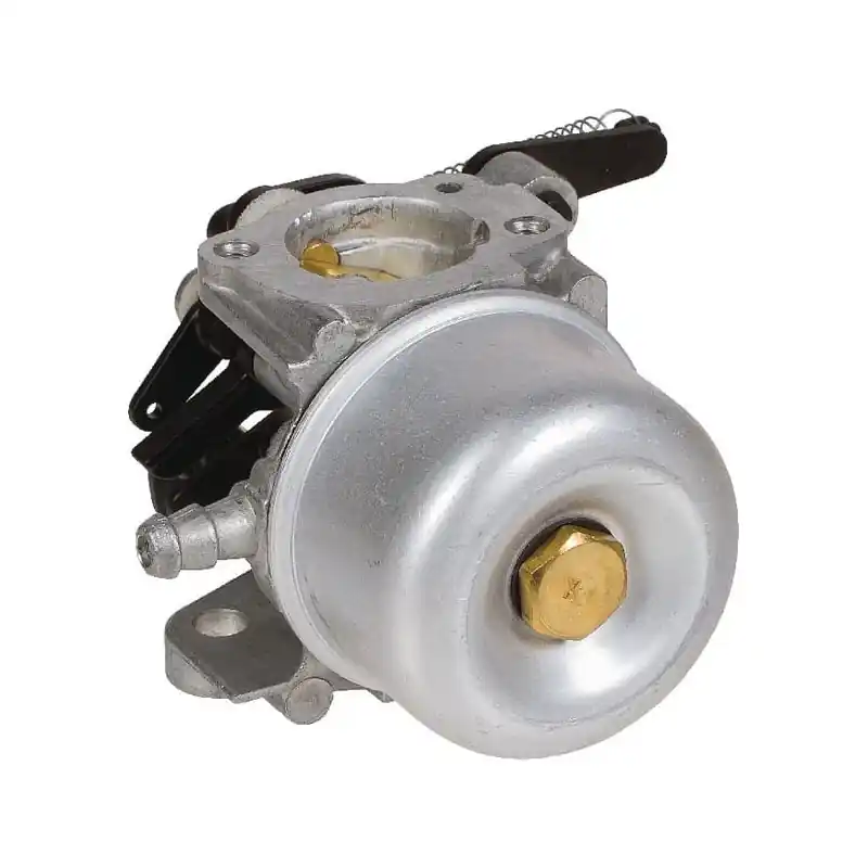 Remise Carburateur Briggs et Stratton – 796608