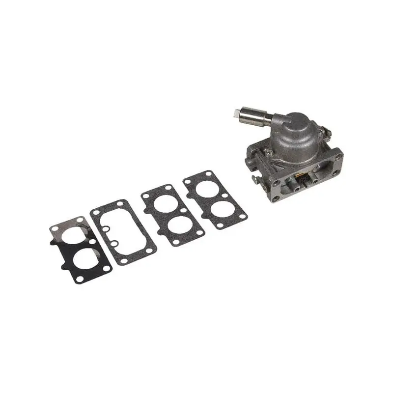 Retour Gratuit Carburateur Briggs et Stratton – 792295
