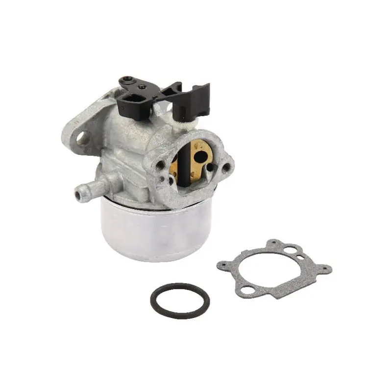 Carburateur Briggs et Stratton – 790978 Acheter En Ligne