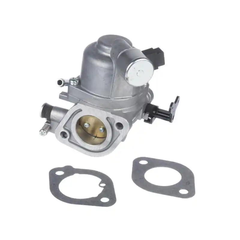 Carburateur Briggs et Stratton – 594207 Offre Limitée