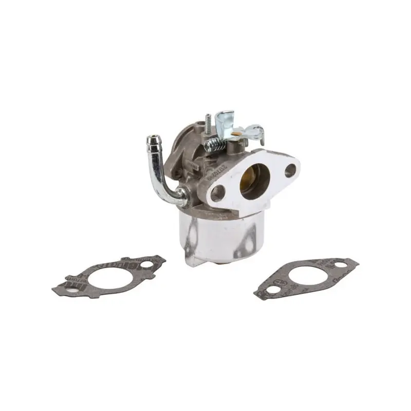 Offre Du Jour Carburateur Briggs et Stratton – 593357