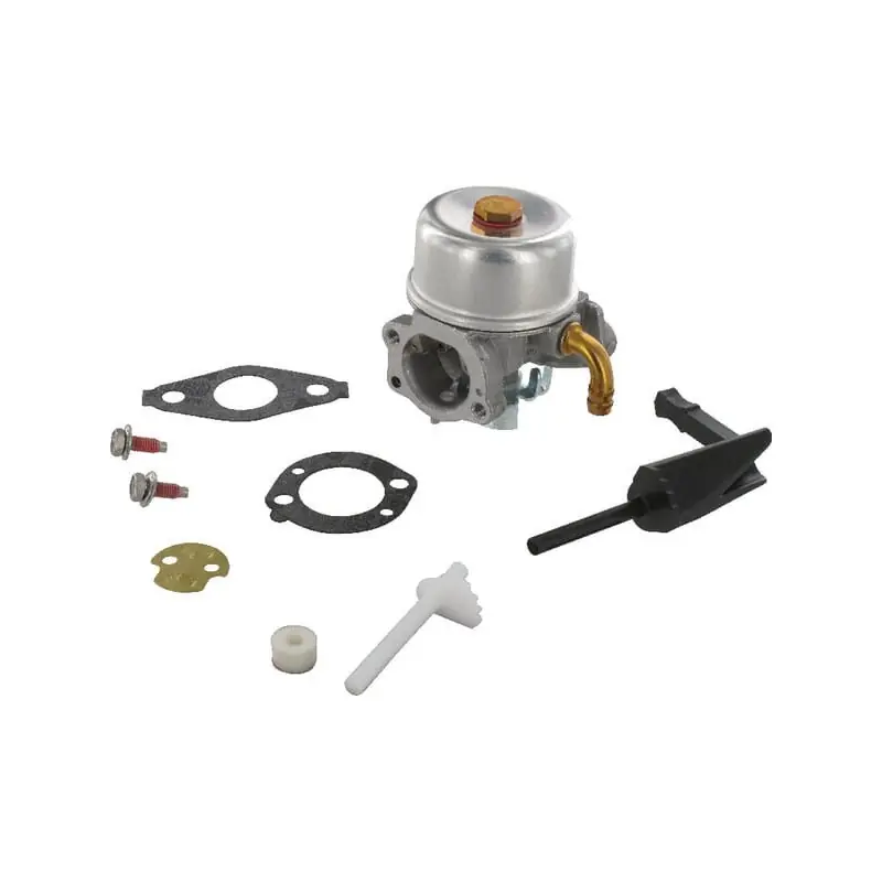 Bon Plan Carburateur Briggs et Stratton – 591299
