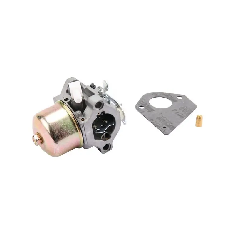 Carburateur Briggs et Stratton – 495782 Jusqu&rsquo;à Épuisement Des Stocks
