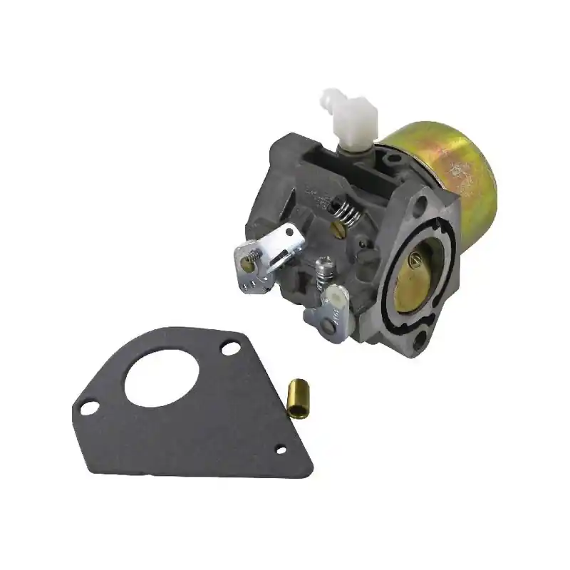 Petit Prix Carburateur Briggs et Stratton – 495784 – 494881