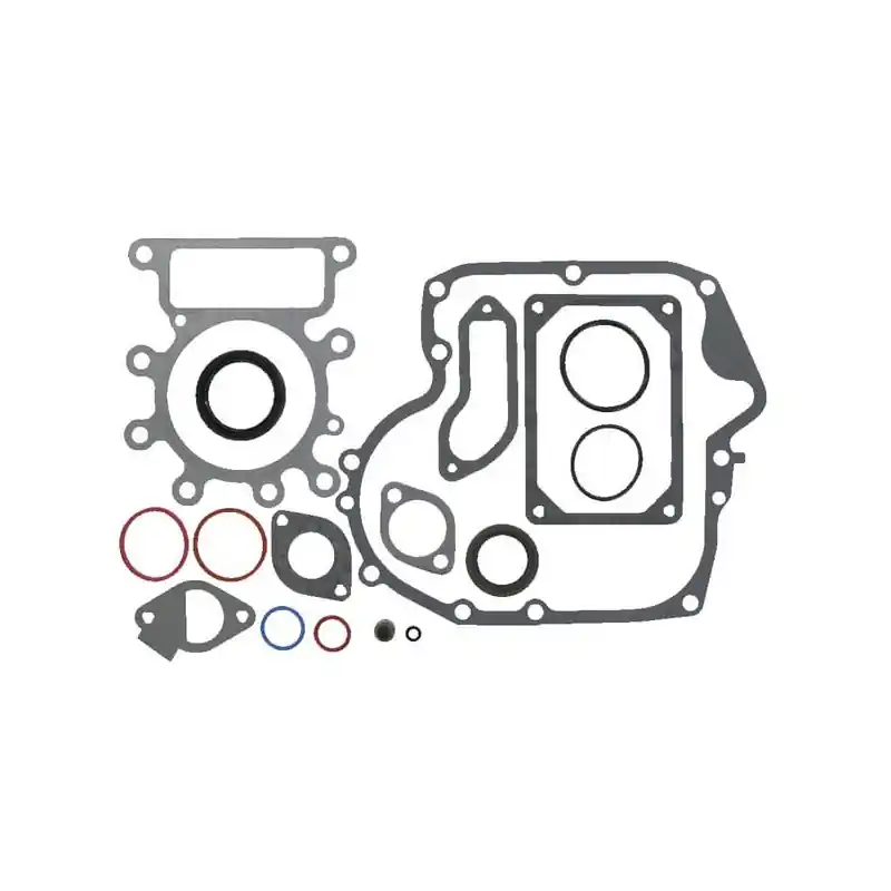 Usine Directe Kit d‘étanchéité moteur Briggs et Stratton – 799952