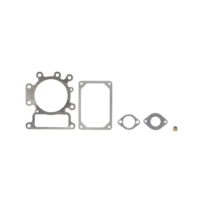 Meilleur Prix Kit de joints Briggs et Stratton – 794152