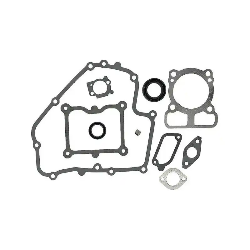 Nouvelle Collection Kit de joints Briggs et Stratton – 793623