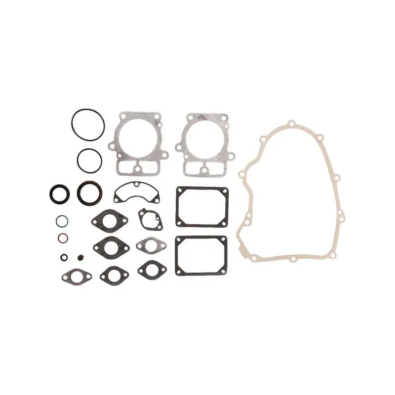 Kit de joints Briggs et Stratton – 699823 Seulement Aujourd&rsquo;hui