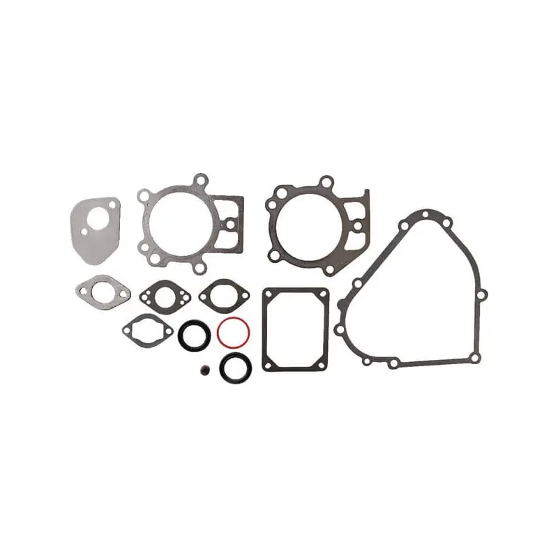 Promotion Saisonnière Kit de joints Briggs et Stratton – 695438