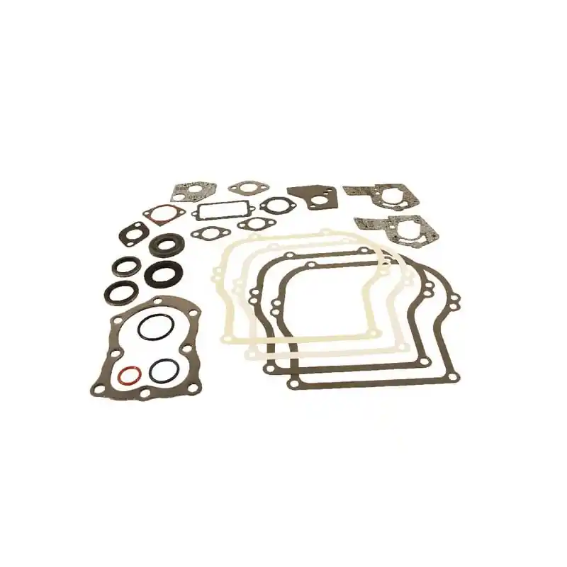 Kit de joints Briggs et Stratton – 495603 Bon Plan