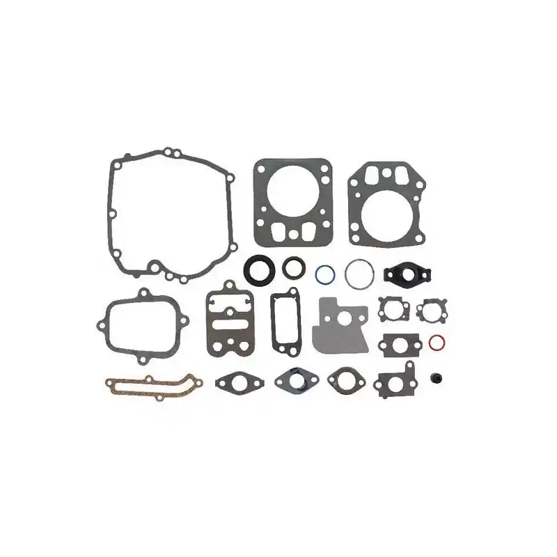 Kit joints moteur Briggs et Stratton – – 499686 – 694090 – 792384 – 795442 Acheter Direct