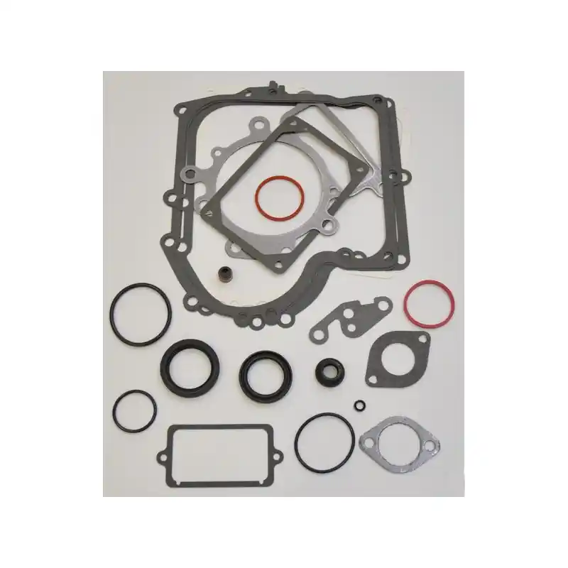 Nouvelle Collection Kit joints Briggs et Stratton – 690189
