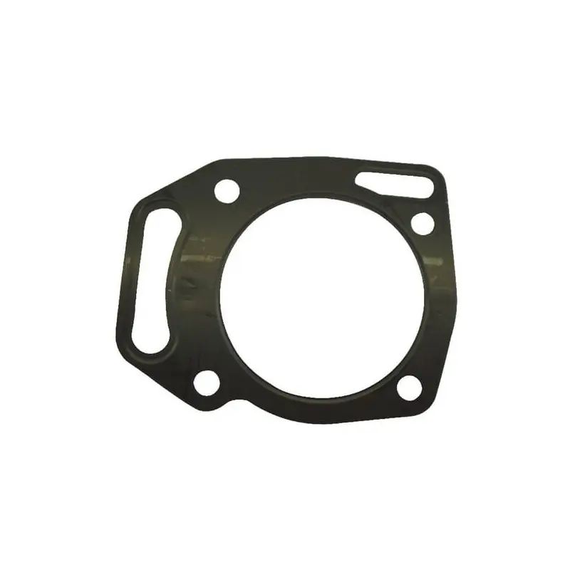 Nouveauté Joint de culasse Briggs et Stratton – 805653S