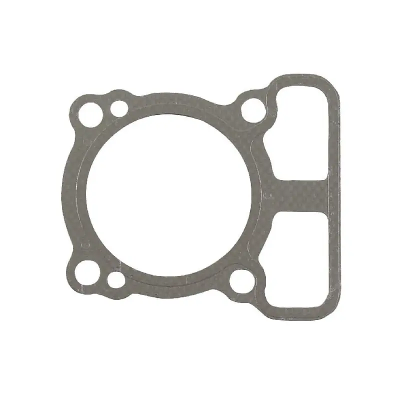 Joint de culasse Briggs et Stratton – 793455 Petit Prix