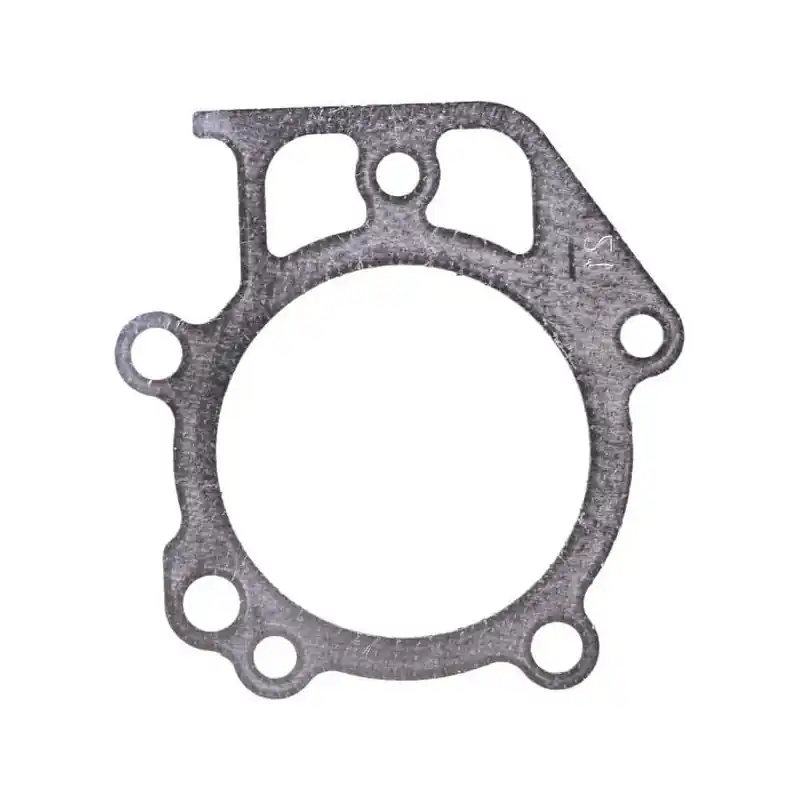 Livraison Express Joint de culasse Briggs et Stratton – 697690