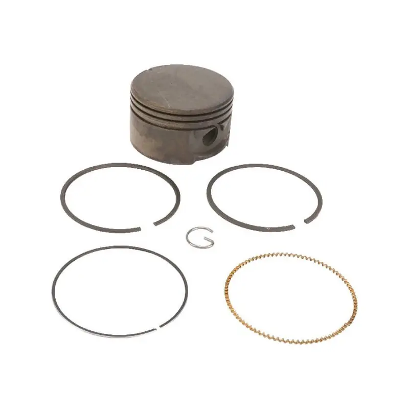 Seulement Aujourd&rsquo;hui Piston Briggs et Stratton – 799063