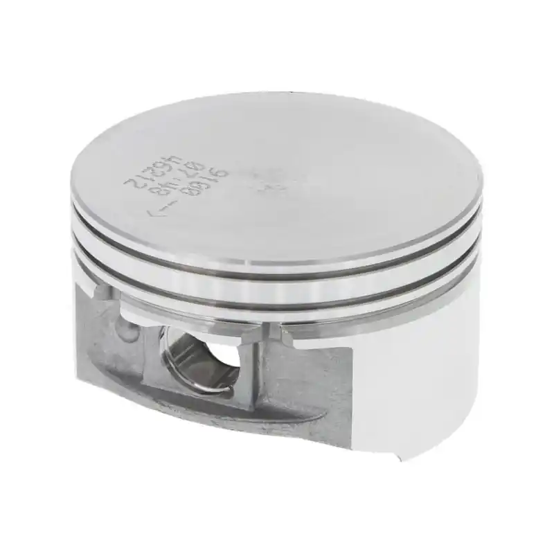 Nouvel Arrivage Piston Briggs et Stratton – 792023