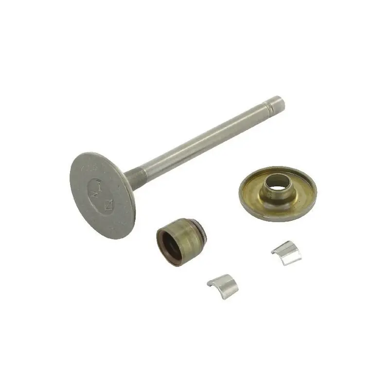 Soupape d‘admission Briggs et Stratton – 807680 Soldes