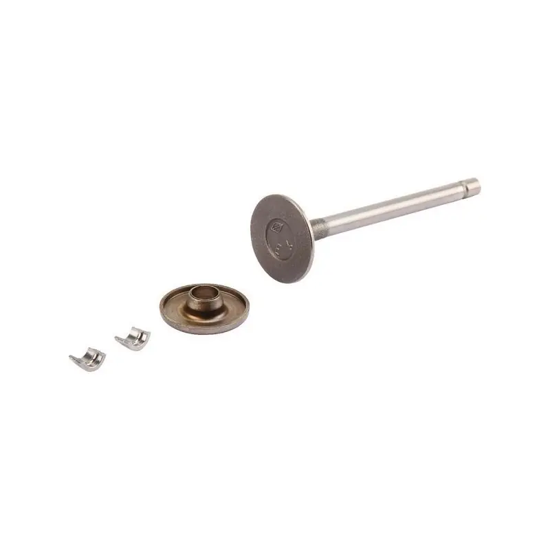 Soupape d‘échappement Briggs et Stratton – 807681 – 808687 Promotion