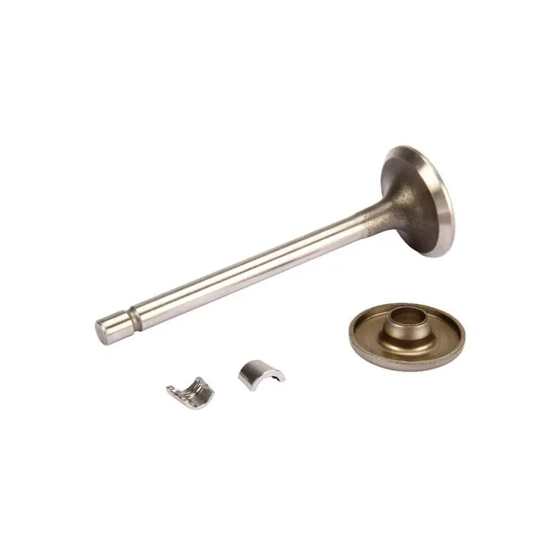 Soupape d‘échappement Briggs et Stratton – 806419 Promotion