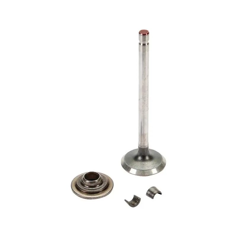 Top Vente Soupape d‘échappement Briggs et Stratton – 697576