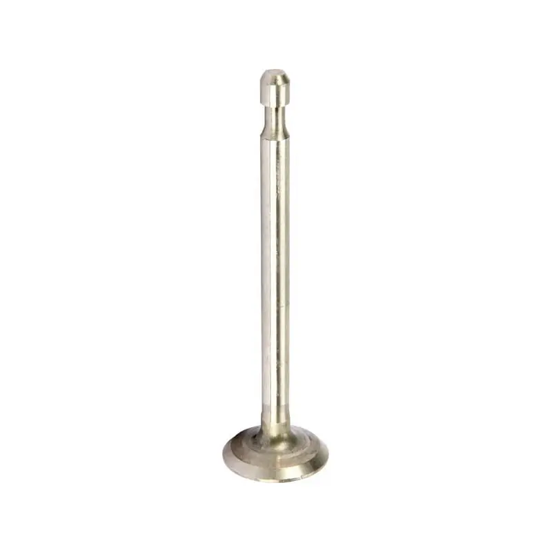 Offre Du Jour Soupape d‘échappement Briggs et Stratton – 590394