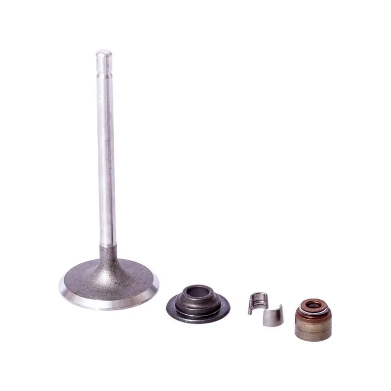 Pas Cher Soupape d‘admission Briggs et Stratton – 843730