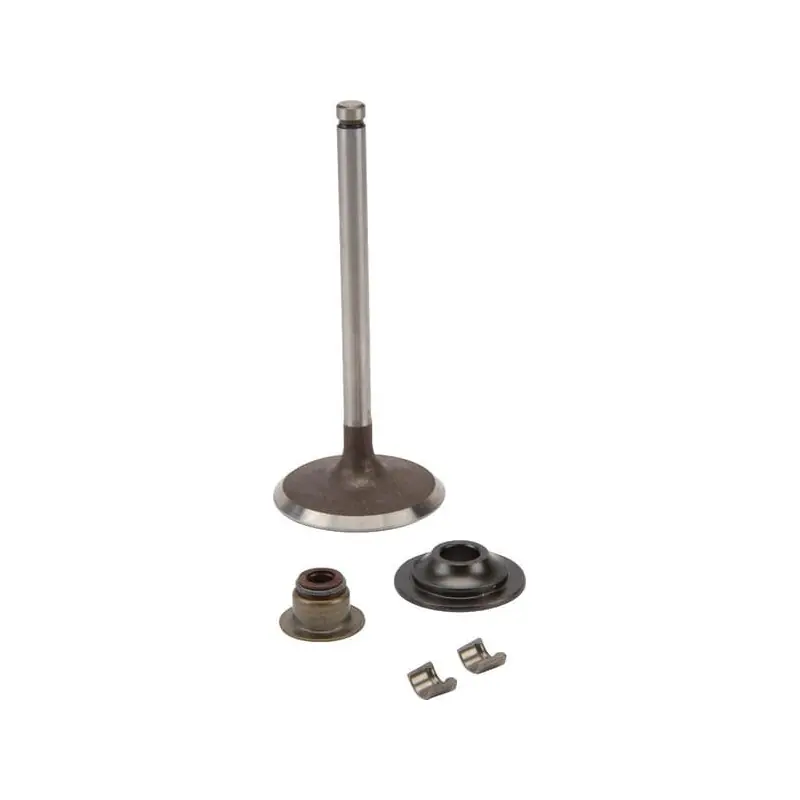 Meilleur Prix Soupape d‘admission Briggs et Stratton – 716080