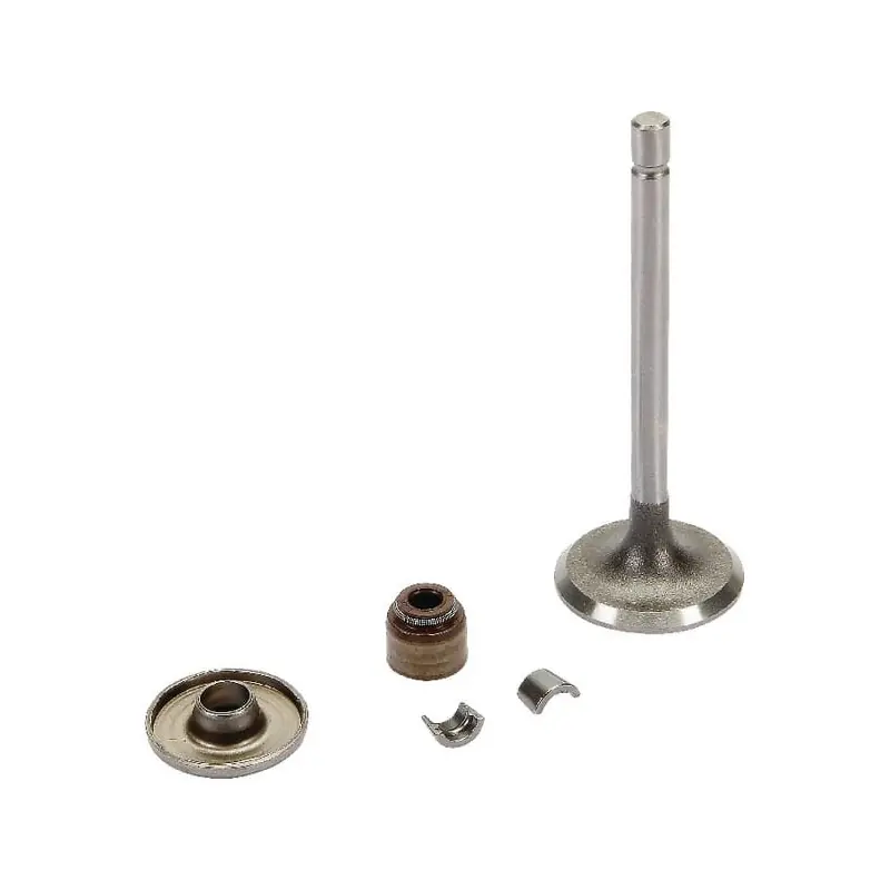 Promotion Saisonnière Soupape admission Briggs et Stratton – 843751