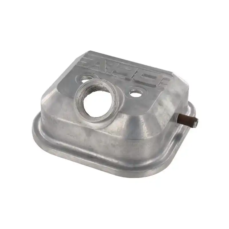 Seulement Aujourd&rsquo;hui Cache soupape Briggs et Stratton – 690910