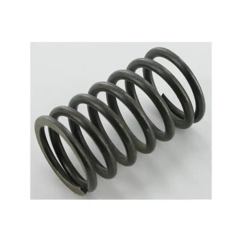 Prix Cassé Ressort de soupape Briggs et Stratton – 692180 – 026478