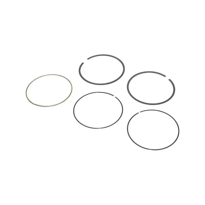 Kit de segments Briggs et Stratton – 797011 – 792306 Meilleur Prix