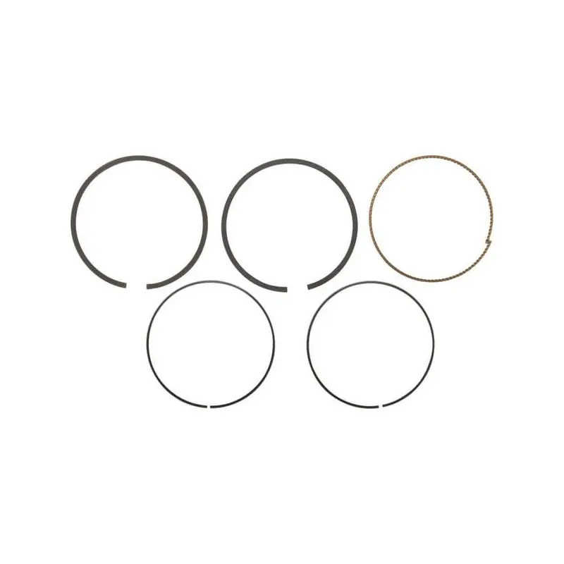 Prix Promo Kit de segments Briggs et Stratton – 794126