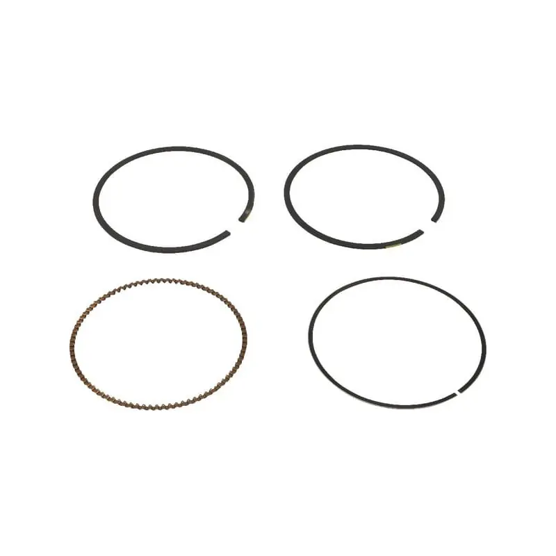 Promotion Saisonnière Kit de segments Briggs et Stratton – 791787