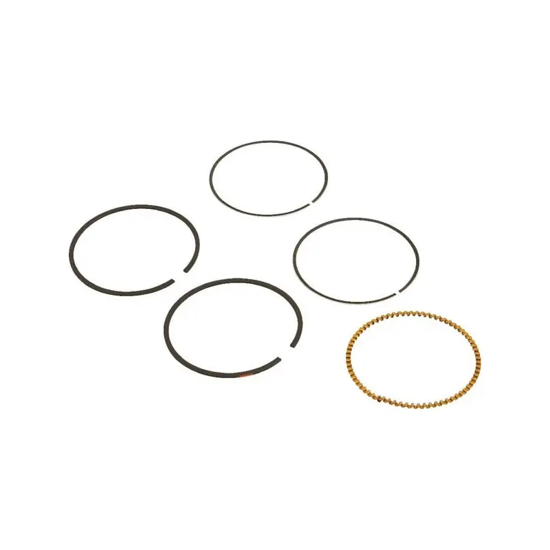 Réduction Kit de segments Briggs et Stratton – 590523