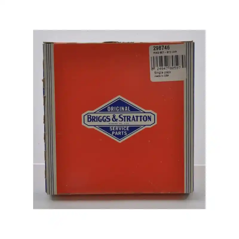 Achetez Aujourd&rsquo;hui Kit de segments Briggs et Stratton – 298746