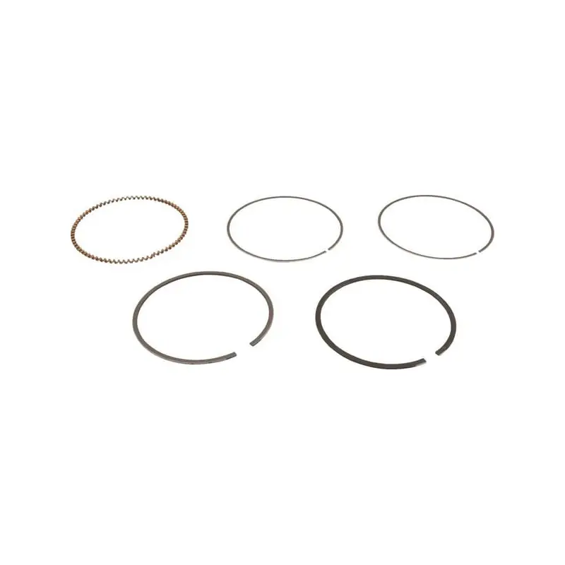 Kit de segments Briggs et Stratton – 843806 Commander Vite